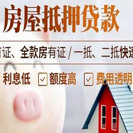 桐乡贷款助贷公司新渝启服成立时间久